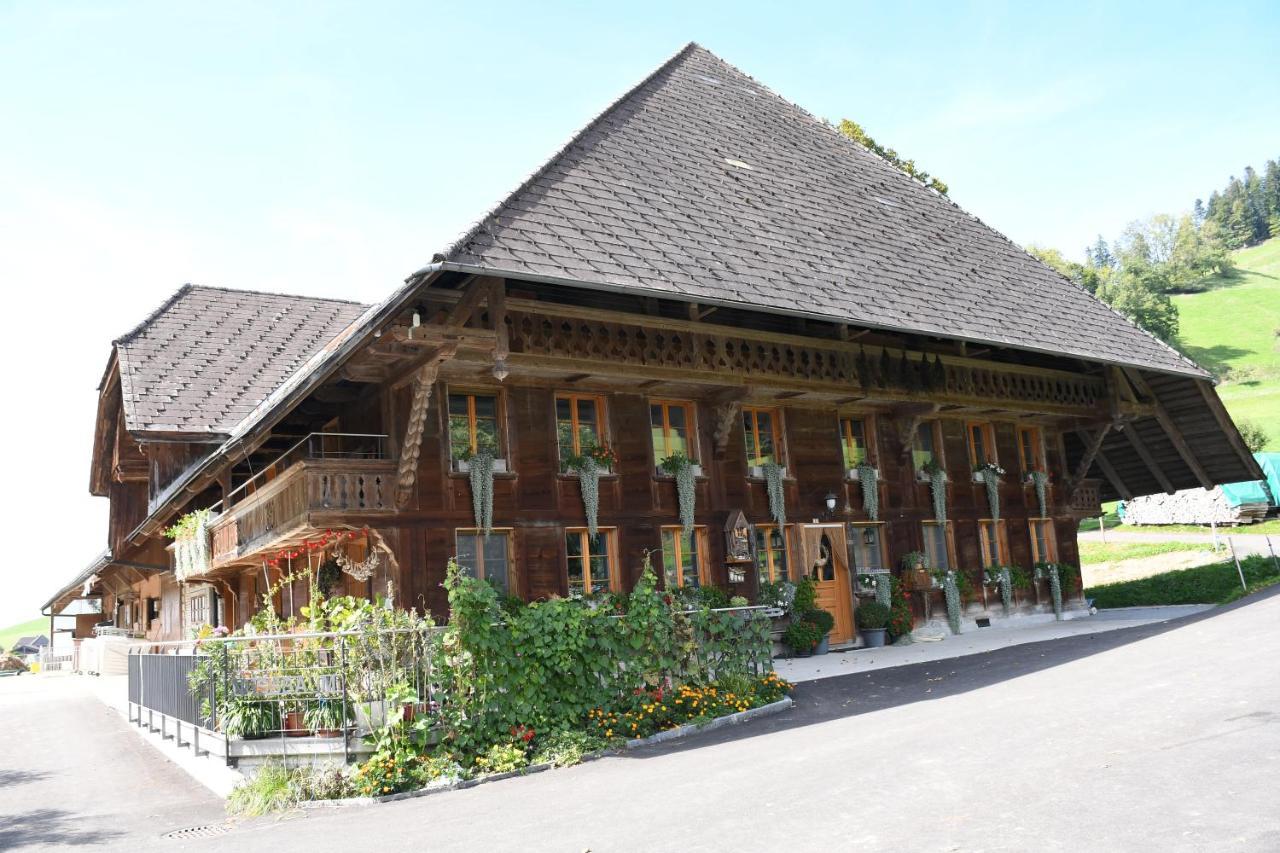 Appartamento Hof-Fankhauser Wasen Esterno foto